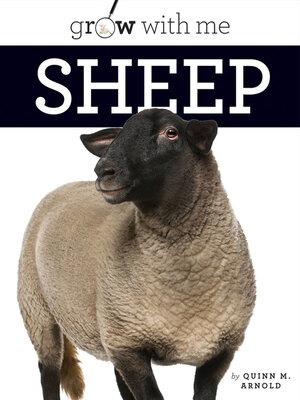 cover image of Sheep